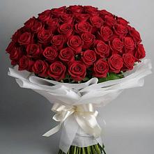 Букет 101 Красная роза Блэк Мэджик в Донском