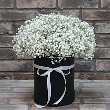 Цветочная композиция из Гипсофила в шляпной коробке #REPLACE_PRED# Донском