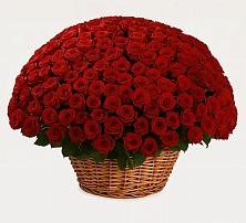 Премиум букет из: Розы в Донском